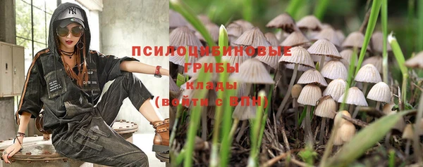 бутират Михайловка