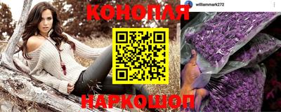 стафф Обь