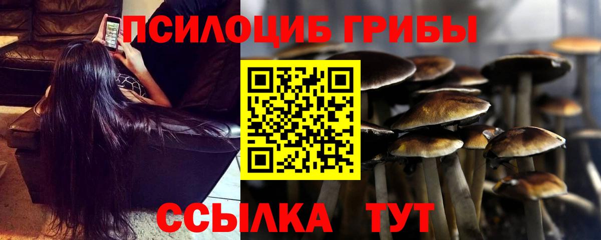 Вологда  Галлюциногенные грибы ЛСД  Вход с VPN 
